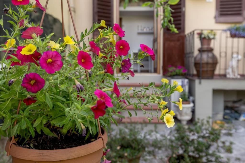 Loft Azalea Garden Wifi Air Conditioning * Florencia