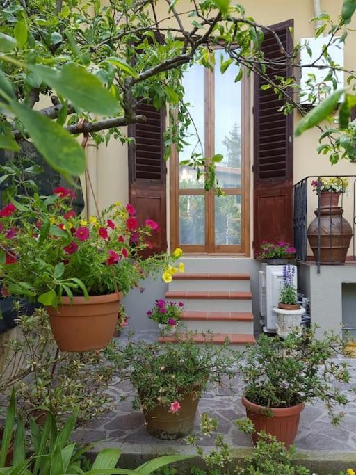 Loft Azalea Garden Wifi Air Conditioning * Florencia